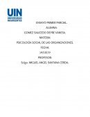 PSICOLOGÍA SOCIAL DE LAS ORGANIZACIONES