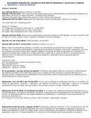 ESTANDARES MÍNIMOS DEL SISTEMA DE GESTIÓN DE SEGURIDAD Y SALUD EN EL TRABAJO