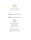 Plan de Mercadotecnia Servilim Green S.A. de C.V