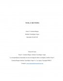 INFORME ADMINISTRATIVO TESLA MOTORS