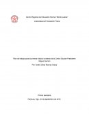 Plan de trabajo para la primera visita al contexto de la Centro Escolar Presidente Miguel Alemán