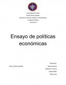 Ensayo de políticas económicas
