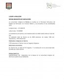 SEVINA MUNICIPIO DE NAHUATZEN, reciclado de basura