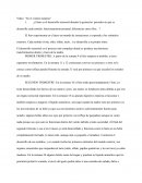 Vídeo: "En el vientrе materno"