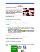 Biología Tejido Sanguíneo 2