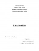 La atencion