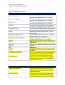 Stakeholders. Sector de la empresa: Construcción