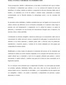 CULTURA Y SOCIEDAD: UNA INTRODUCCIÓN