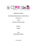 COMERCIO ELECTRONICO ESTRATEGIAS DE NEGOCIOS EN EL CONTEXTO VIRTUAL