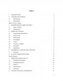 Plan de Marketing Operativo