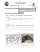 La molibdenita: Principal mena de molibdeno y material semiconductor
