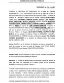 Acta de juicio no segmentada