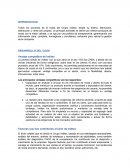 Caso paractivo inditex