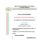 PROCESО DE ATENCION DE ENFERMERIA “EN PACIENTE CON ” INSUFICIENCIA RESPIRATORIA