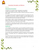 Incendios forestales en México