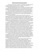 Diseño curricular de practicas del lenguaje