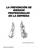 LA PREVENCIÓN DE RIESGOS PROFESIONALES EN LA EMPRESA