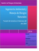 Tsunami de Sumatra en Indonesia del año 2004