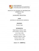 Caso COMREIVIC S.A.C