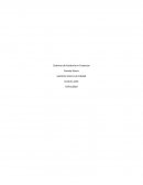 Auditoría Interna de Calidad