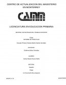 Informe de practicas Escuela Primaria Federal Alberto Santos González