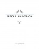 Critica a la burocracia