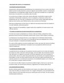 Descripción del entorno y la competencia en balnearios