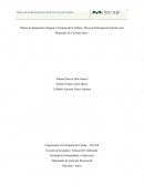 Pilares de Reparación Integral a Víctimas del Conflicto: Mesa de Participación Efectiva del Municipio de Coveñas Sucre