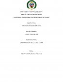 DISEÑO Y ANALISIS DE UN PUESTO ANÁLISIS DE PUESTO