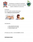 OBESIDAD EN ADOLESCENTES