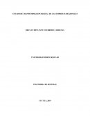 ESTADO DE TRANSFORMACION DIGITAL DE LAS EMPRESAS REGIONALES