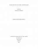 TRABAJO PRACTICO DE ALGEBRA Y PROBABILIDADES