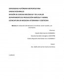 Bitacora Granja Cerdos