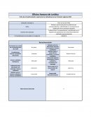 Plan de Acción PAAC