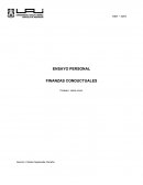 ENSAYO PERSONAL FINANZAS CONDUCTUALES