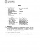 Sílabo_Nivelación en Informática 2019