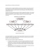 Ataques Remotos a los Sistemas de Información