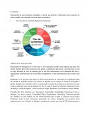Ruralizate . Análisis de la situación actual