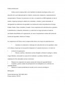 Política Institucional sst