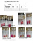 EXPERIMENTO 1. REACCIÓN DE HANUS