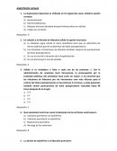 Anestésicos locales