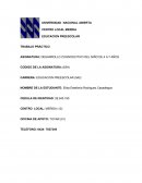 Planificación y evaluación en educación inicial