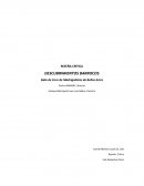 RESEÑA CRÍTICA DESCUBRIMIENTOS BARROCOS