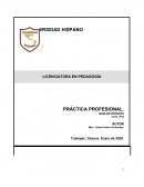PRÁCTICA PROFESIONAL. GUÍA DE ESTUDIO