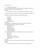 Sistemas Productivos