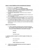 Tema 2 FOL. Preguntas de repaso. CARACTERÍSTICAS DE LOS EQUIPOS DE TRABAJO