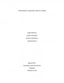Administración en seguridad y salud en el trabajo