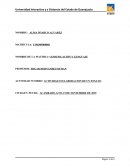 La importancia de la comunicación para el éxito académico y profesional en mi carrera