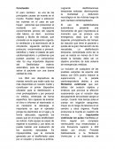 Desfribilador externo automático