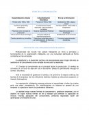 ERAS DE LA ORGANIZACIÓN